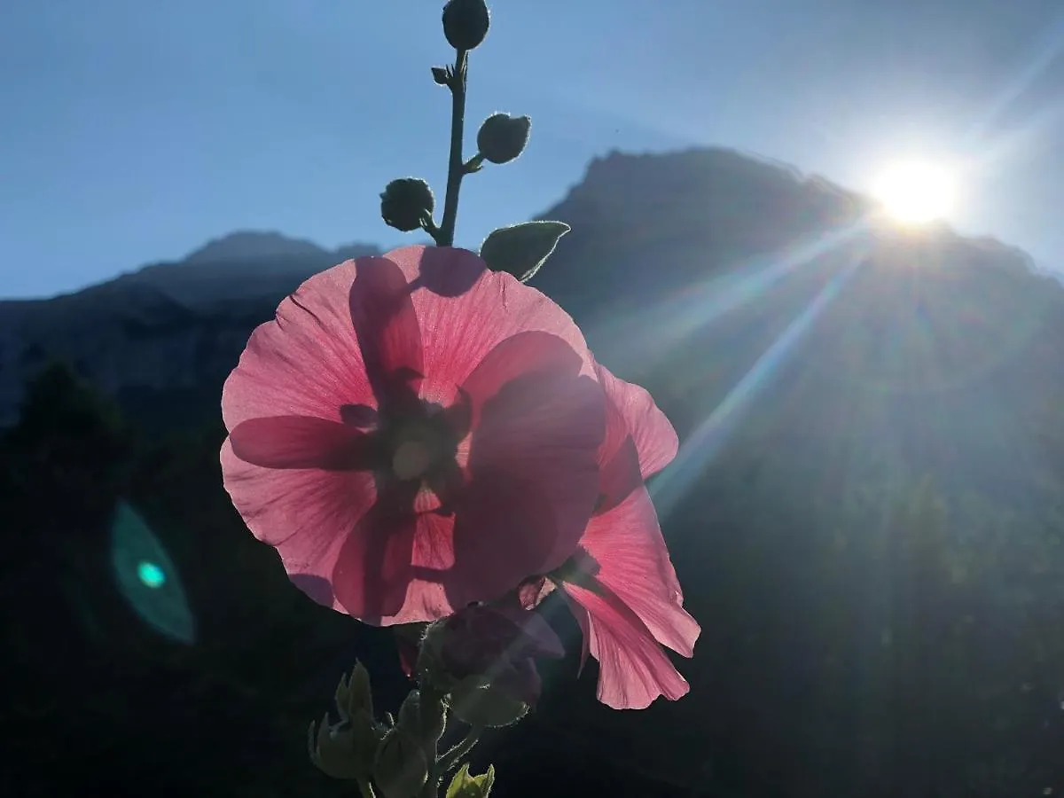 فندق Cold Spring ثيث بيت ضيافة