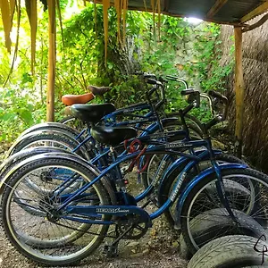 https://guarumbo.quintano-roohotels.com